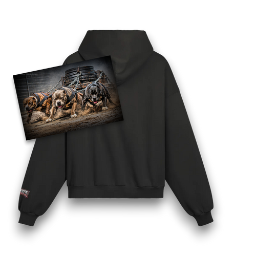 380GSM Unisex Sun Faded Distressed Hoodie
