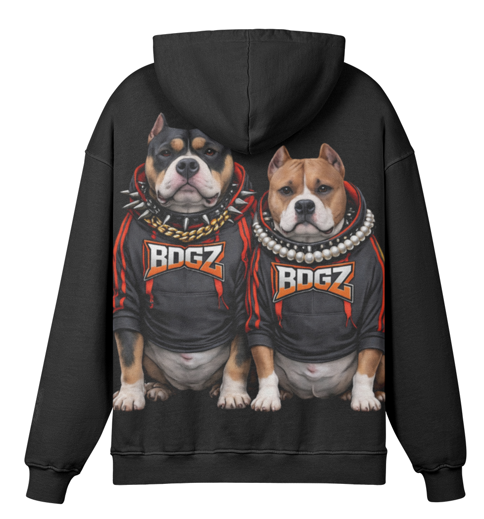 BDGZ Street Hoodie - Heavyweight, Oversized